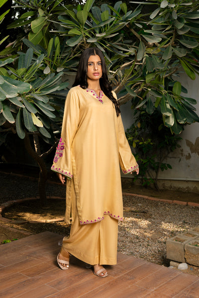 Embroidered | 2-PC | Ready-To-Wear