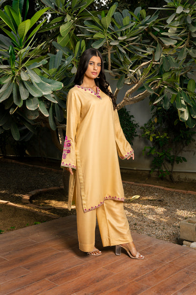 Embroidered | 2-PC | Ready-To-Wear