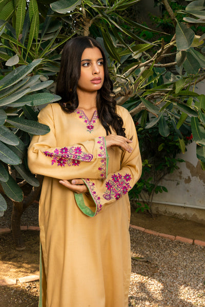 Embroidered | 2-PC | Ready-To-Wear