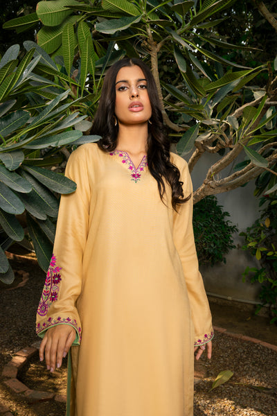 Embroidered | 2-PC | Ready-To-Wear