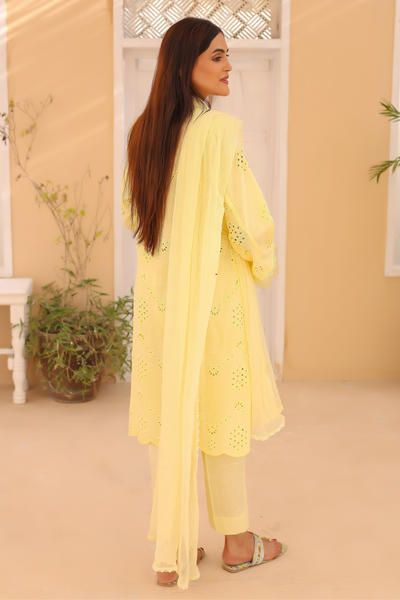 3-Piece Embroidered Chikankari Stitched
