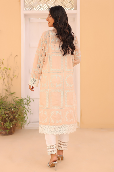 2-Piece Embroidered Lawn Stitched