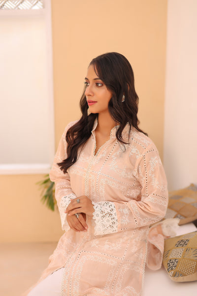 2-Piece Embroidered Lawn Stitched