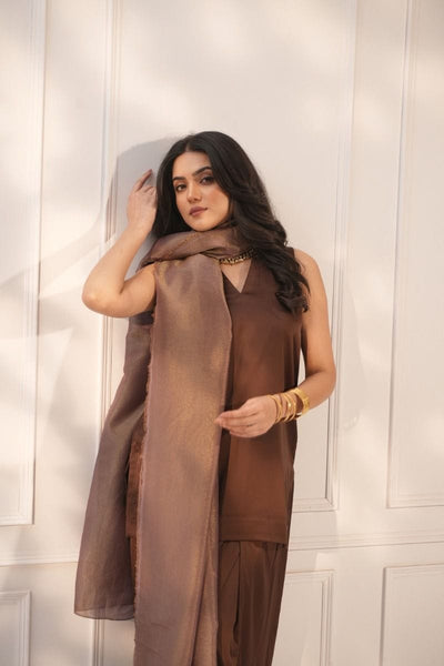 Brown Farshi Set