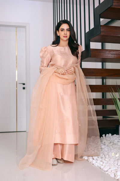 Peach farshi set